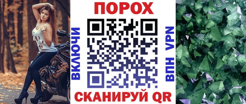 kraken   Череповец  АМФ Premium 