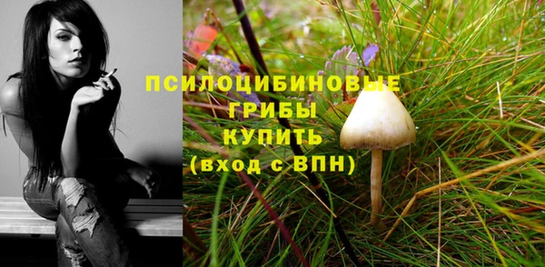 спайс Алексеевка
