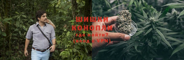 PSILOCYBIN Абдулино
