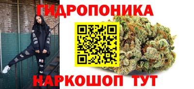 гидропоника Новокубанск
