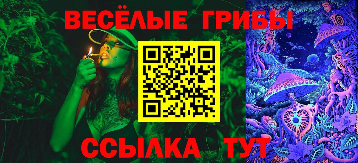 Галлюциногенные грибы GOLDEN TEACHER Череповец