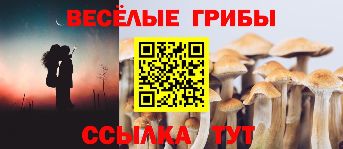 Череповец  Псилоцибиновые грибы прущие грибы  Вход с VPN 