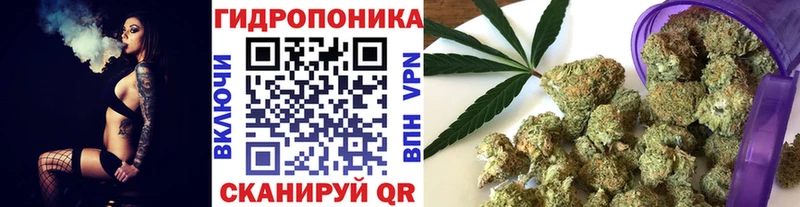 цена Череповец Конопля планчик